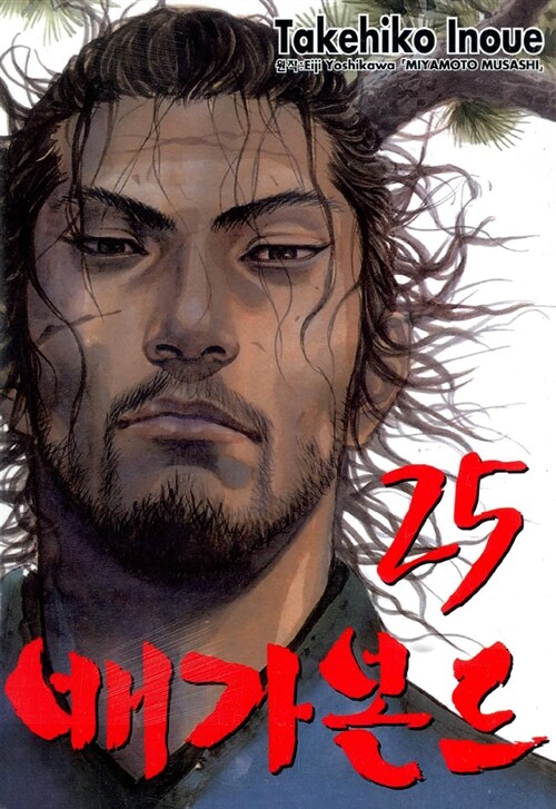 อ่านมังงะ Vagabond